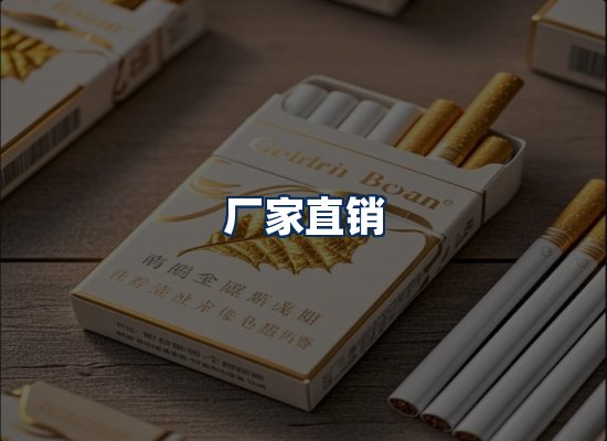 专业团队办公环境